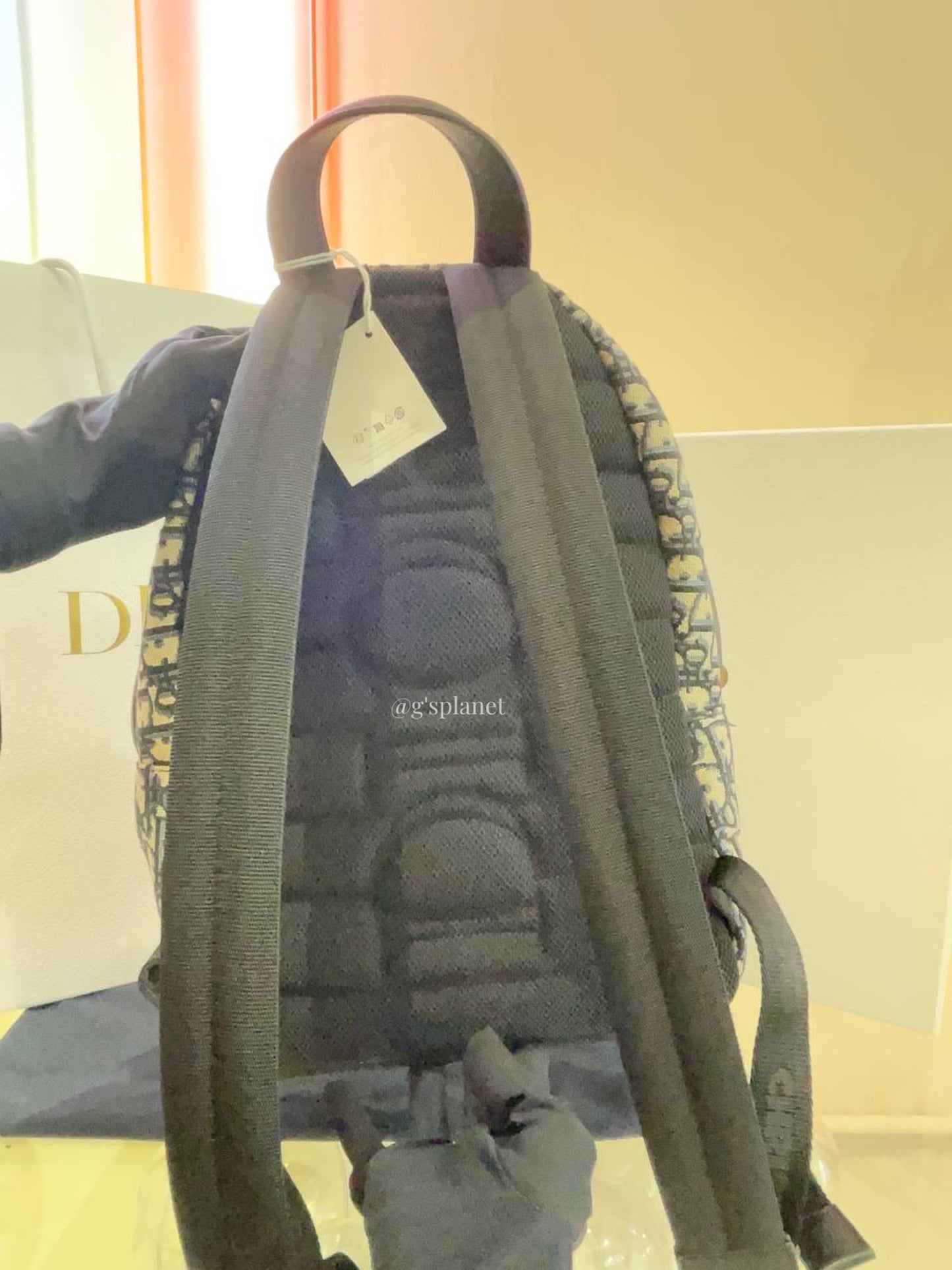 Dior Oblique Backpack