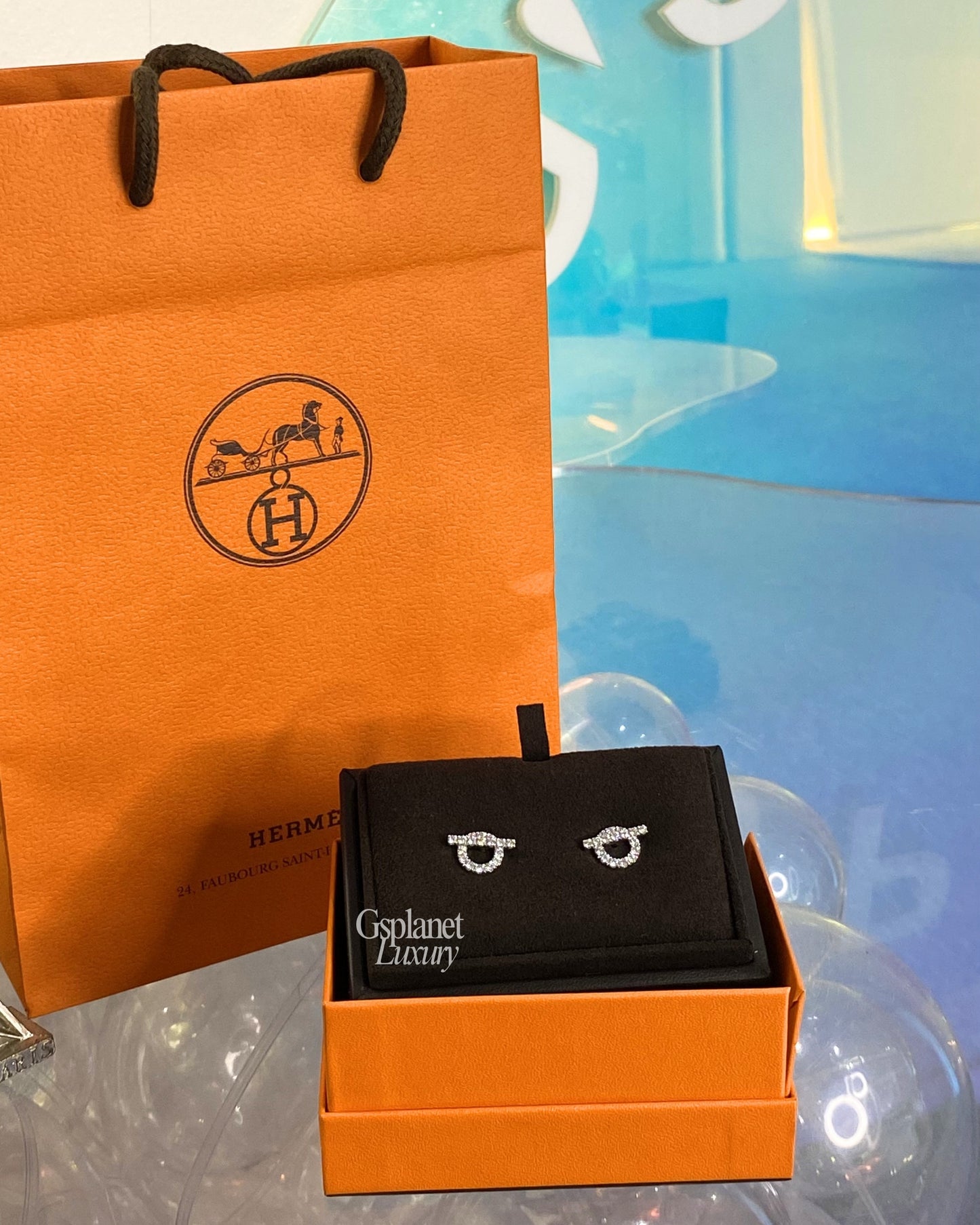 Hermes Finesse Earrings BrandNew