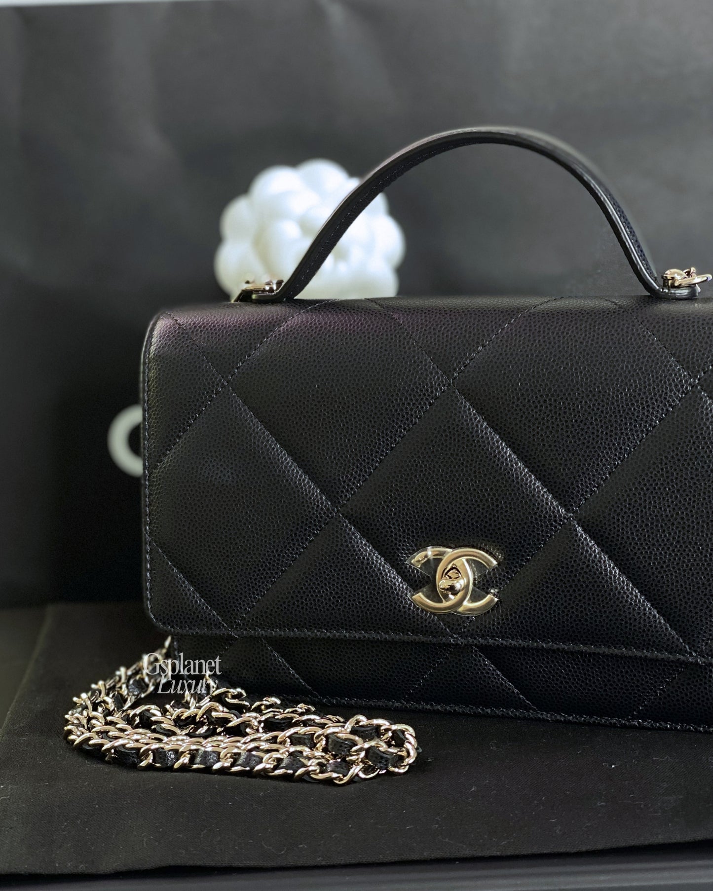 Chanel WOC Handle