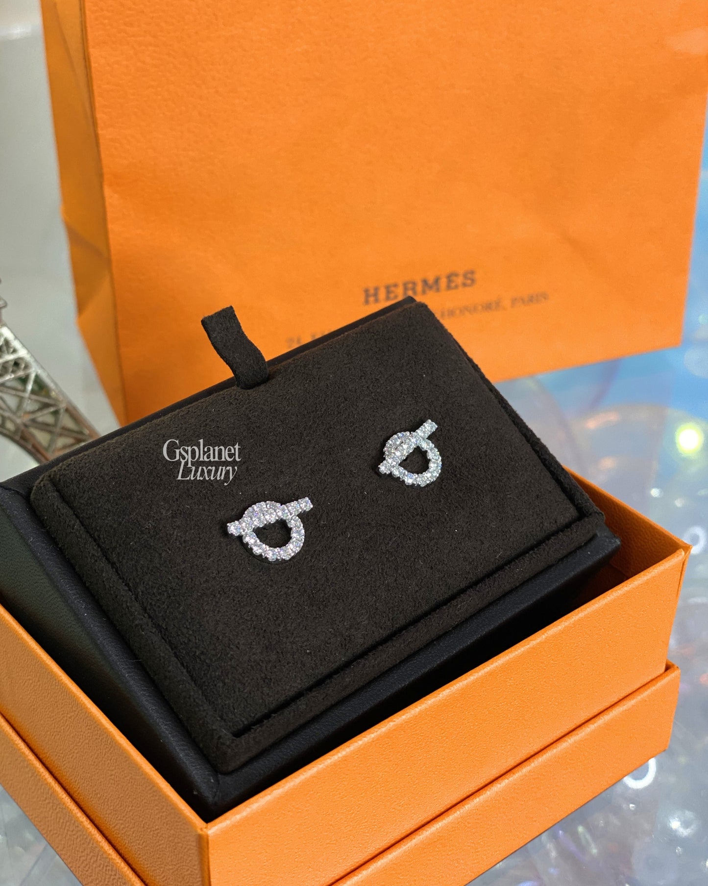 Hermes Finesse Earrings BrandNew
