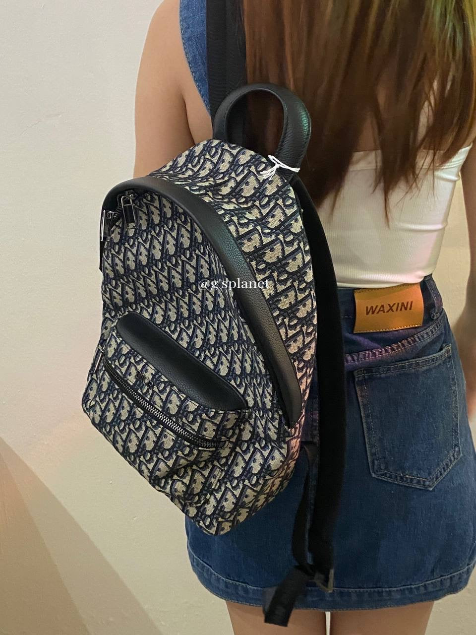 Dior Oblique Backpack