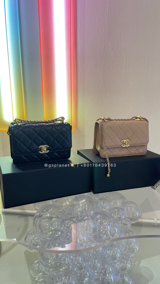 CHANEL 22cm