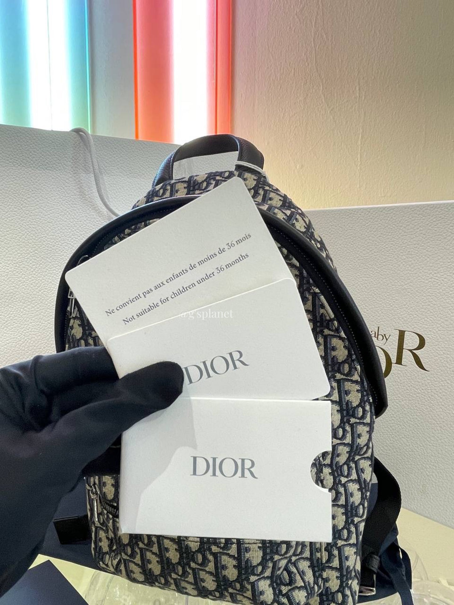 Dior Oblique Backpack