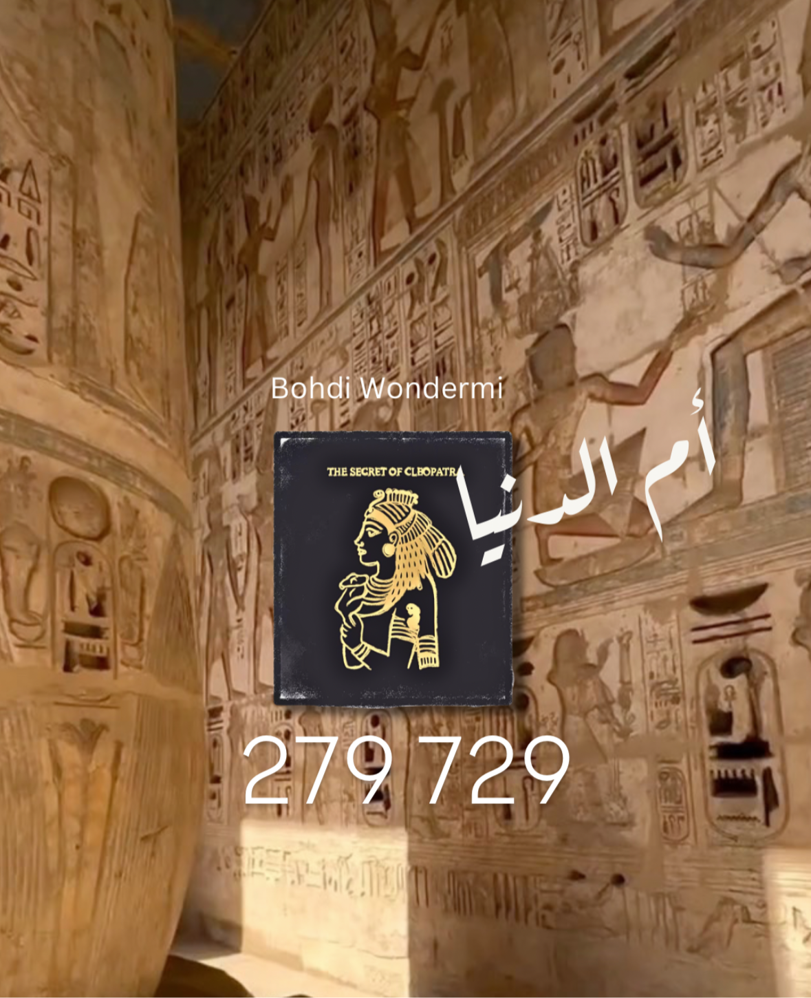 729 wondermi 万人迷