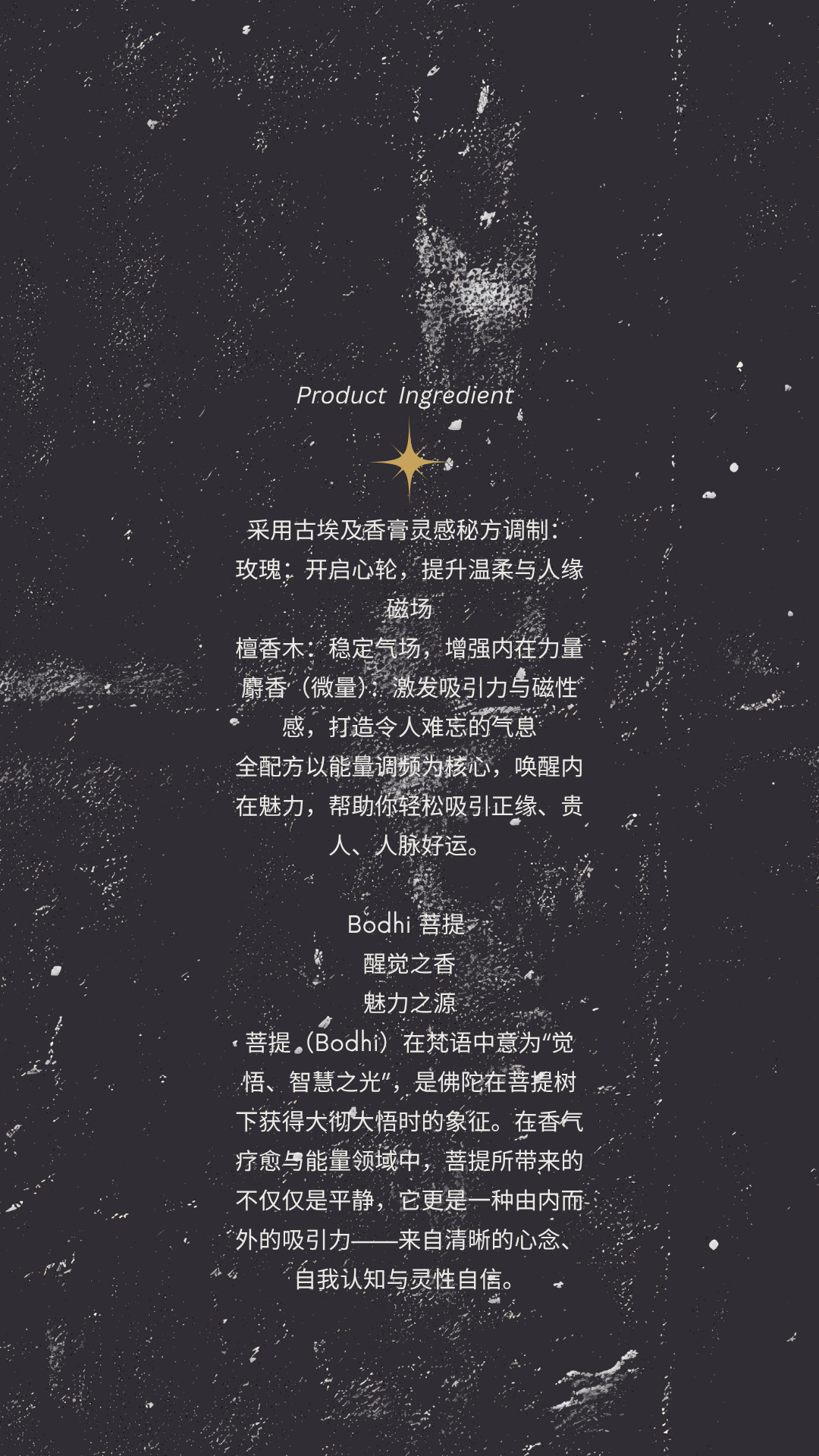 729 wondermi 万人迷