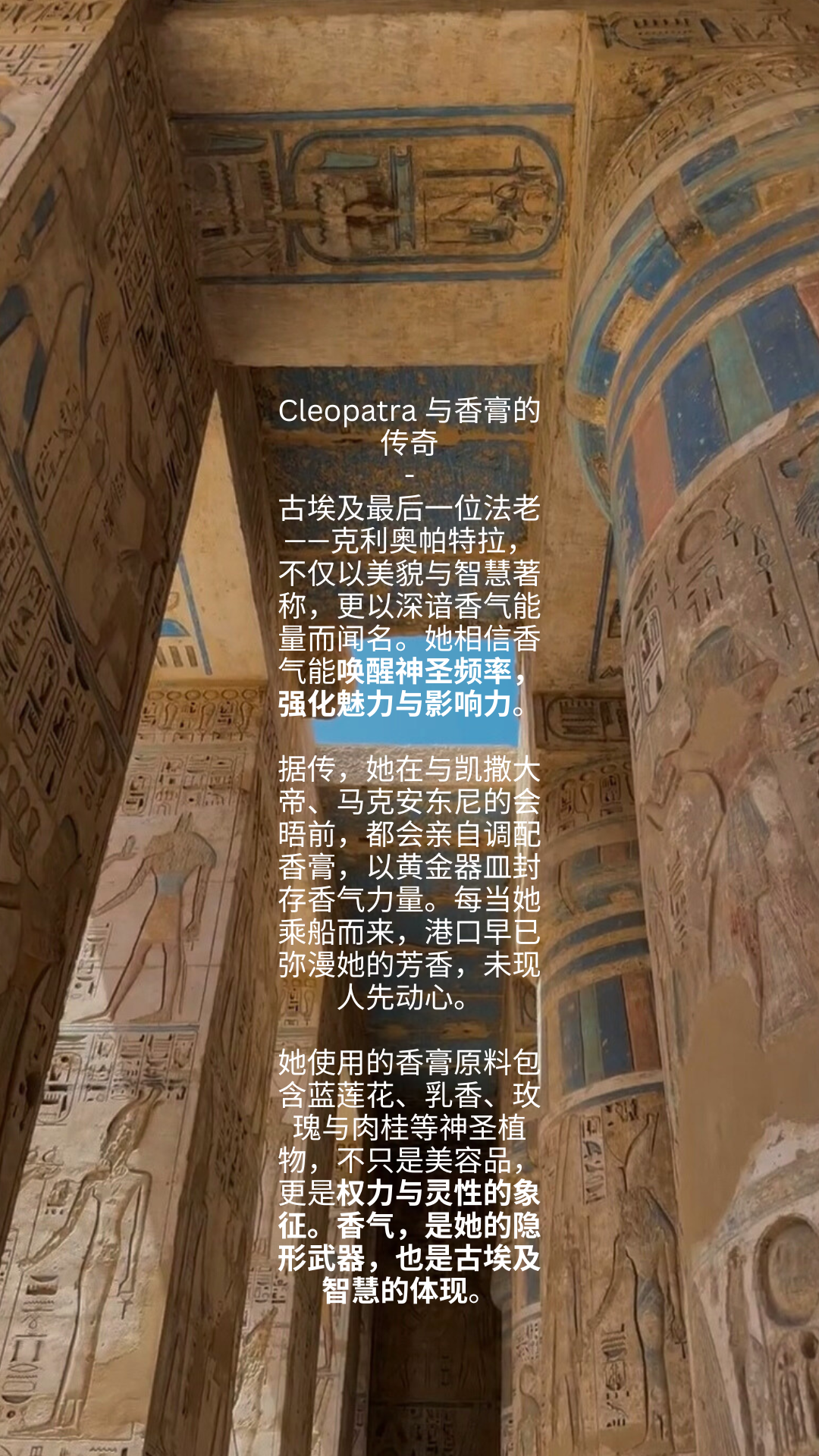 729 wondermi 万人迷