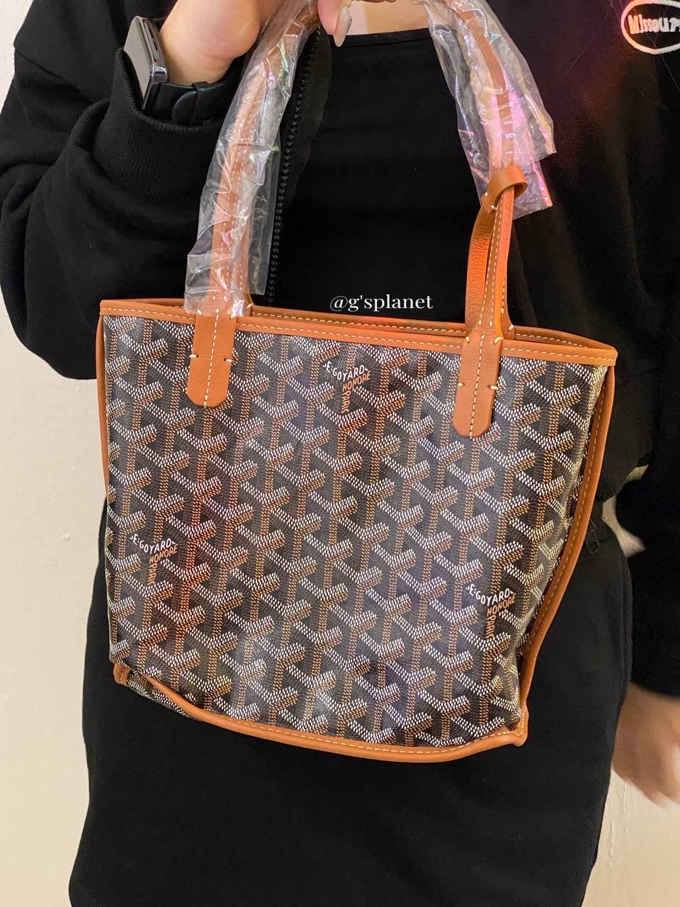 GOYARD Mini Anjou