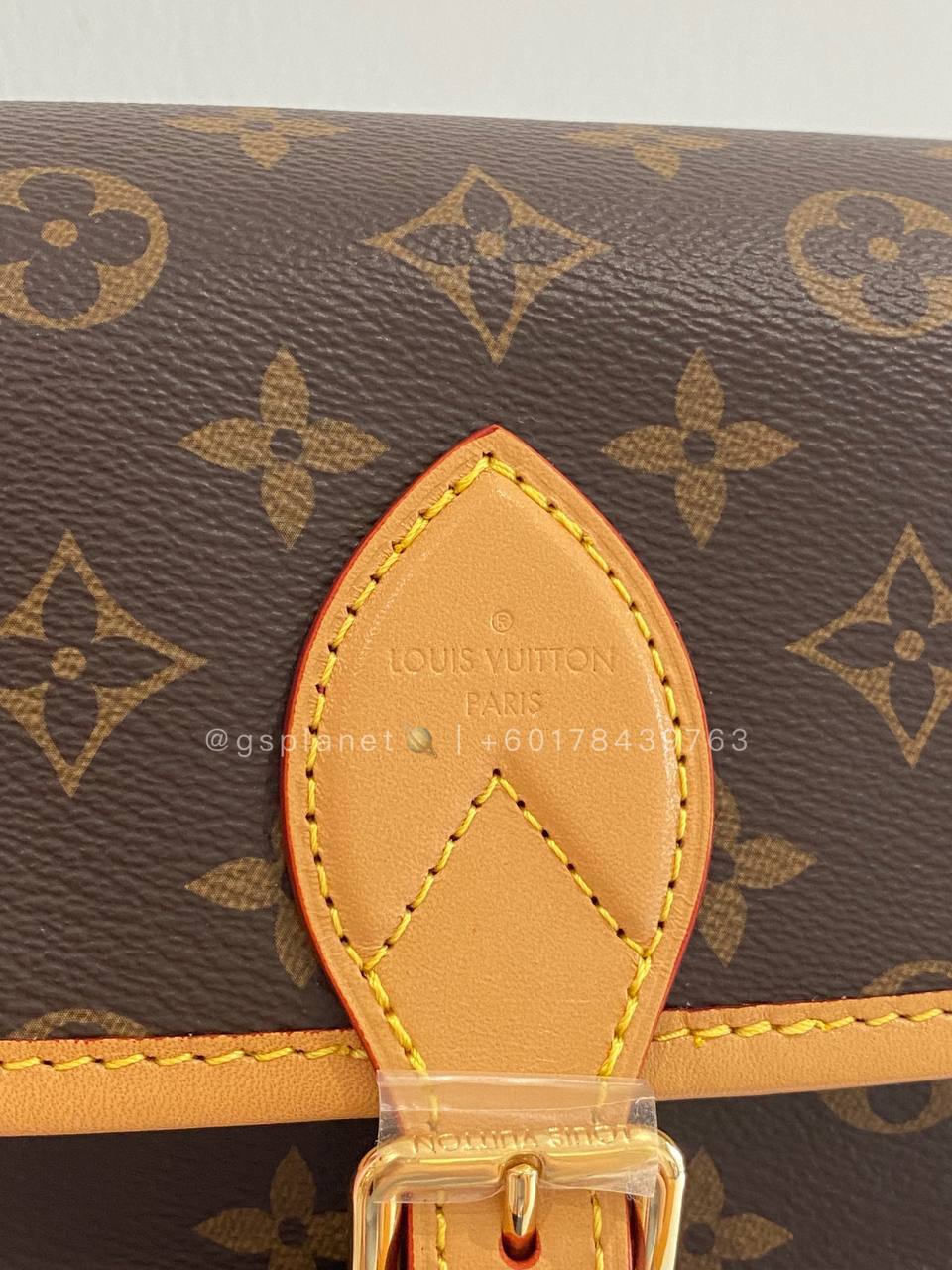 LV Diane Bag