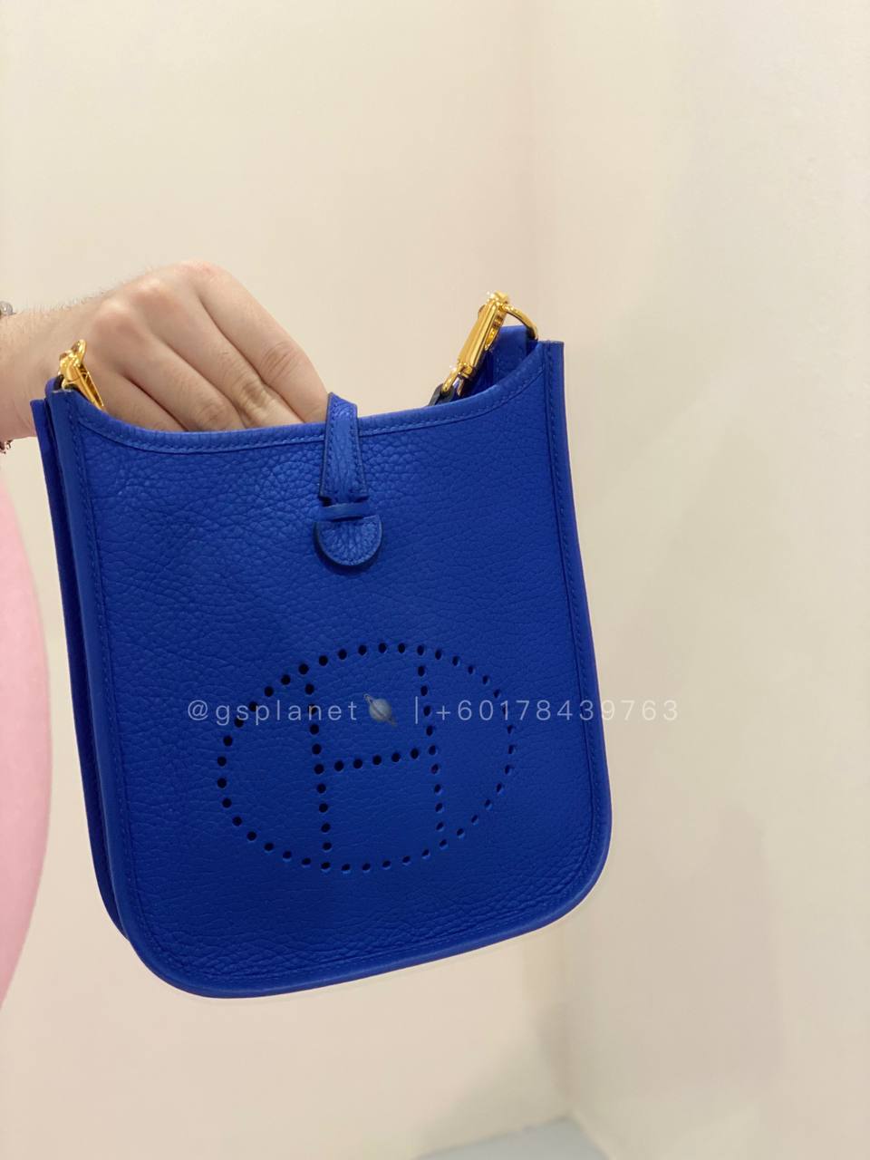 H Mini Evelyn 16 Amazon Bag