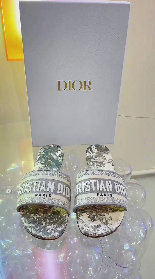 DIOR Dway Slide